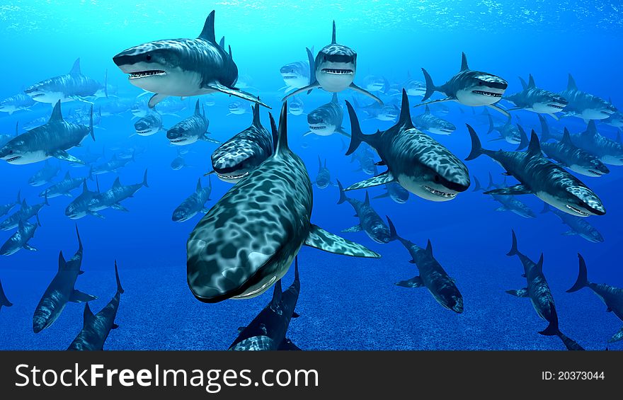 Flock of shark  in the sea