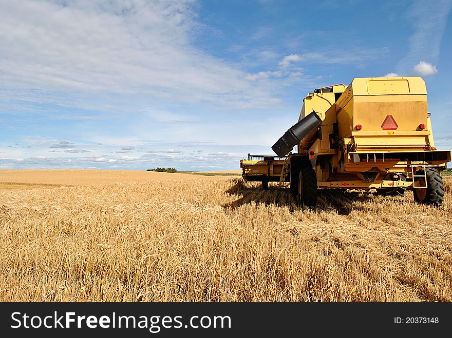 Yellow New Holland combine sits in a wheat field near Mannville, Alberta. Yellow New Holland combine sits in a wheat field near Mannville, Alberta