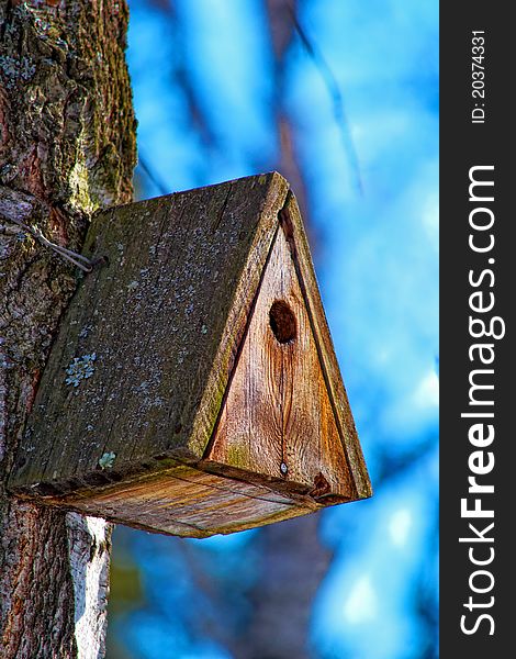 Old birdhouse, covered with moss, hanging on the birch tree on blue sky background