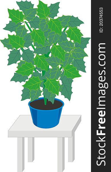 House plant in dark blue pot on gray table  - color isolated vector  illustration on white background. House plant in dark blue pot on gray table  - color isolated vector  illustration on white background