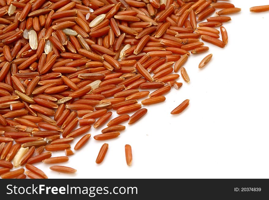 Rice Grain