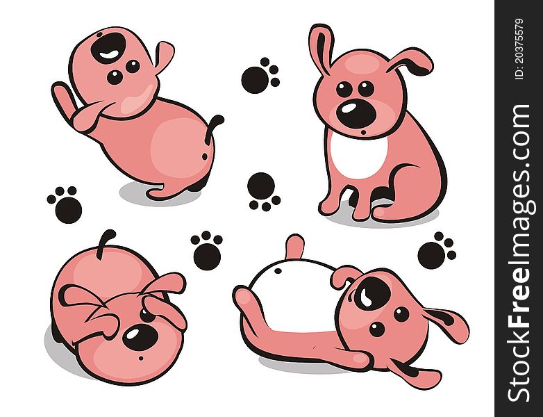 Little puppy in different poses