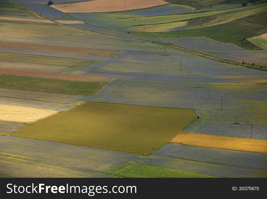 Photo of the colors of the summer in Umbria