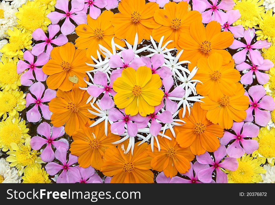 Multi colored flowers pattern background