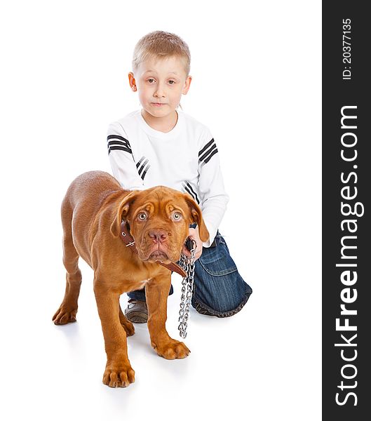 A cute boy with the dog. Isolated on a white background