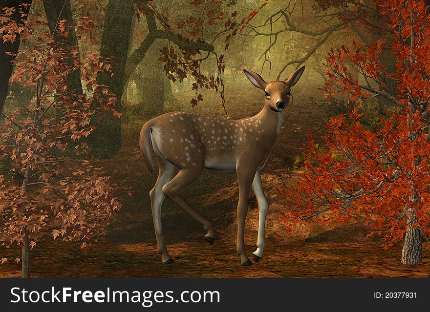 3d render of a fawn in the wood. 3d render of a fawn in the wood