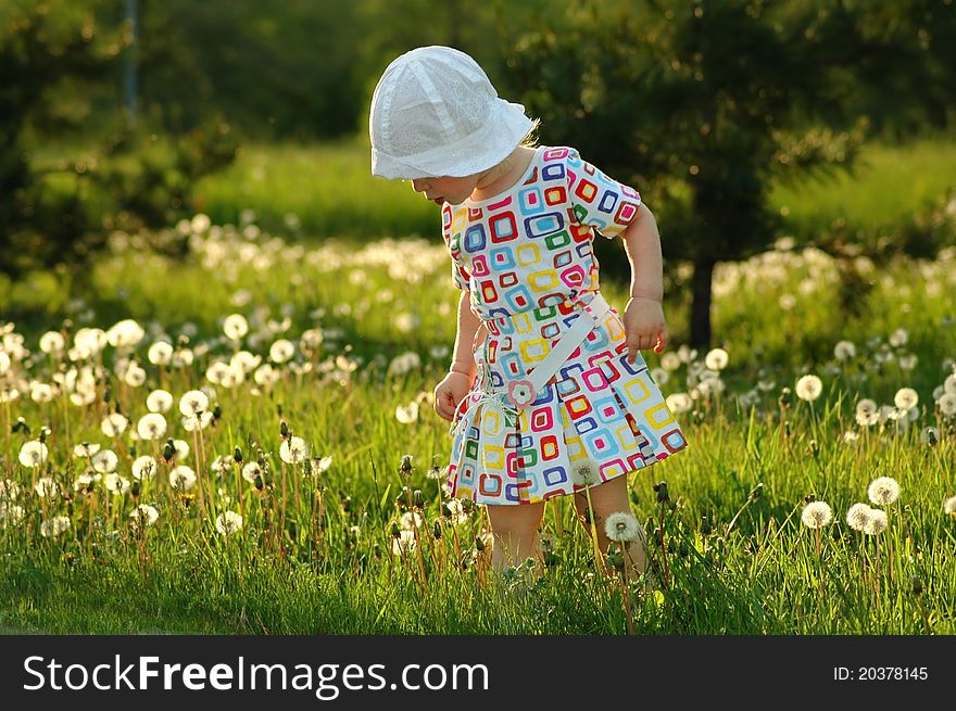 The Little Girl With Dandelions