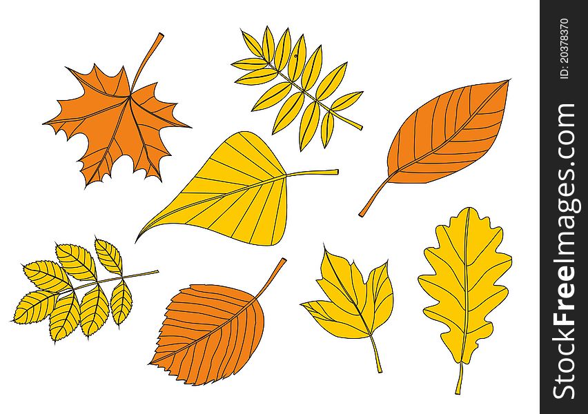 Stock Illustration: yellow autumn leaf