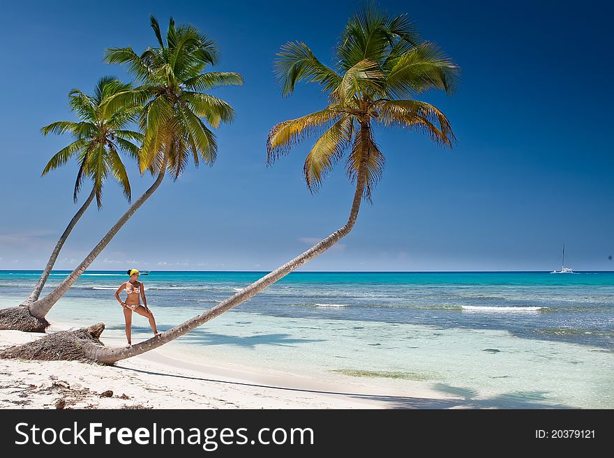 Tanned woman is standin on palm before blue sea