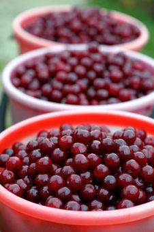 Cherries In Buckets Royalty Free Stock Photos Cherries In Buckets Royalty Free Stock Photos