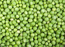 Fresh And Green Peas Royalty Free Stock Photos Fresh And Green Peas Royalty Free Stock Photos