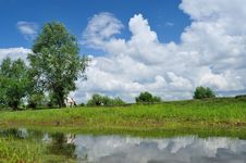 Free Wetland Landscape Stock Photos - 20384153