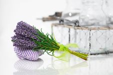 Bunch Of Lavender Flower Royalty Free Stock Image Bunch Of Lavender Flower Royalty Free Stock Image