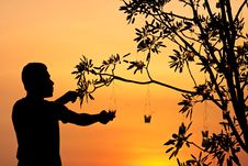 Silhouette Of Man Kindle Candle Royalty Free Stock Image Silhouette Of Man Kindle Candle Royalty Free Stock Image