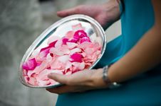 Flower Petals Ready To Be Tossed Stock Photo Flower Petals Ready To Be Tossed Stock Photo