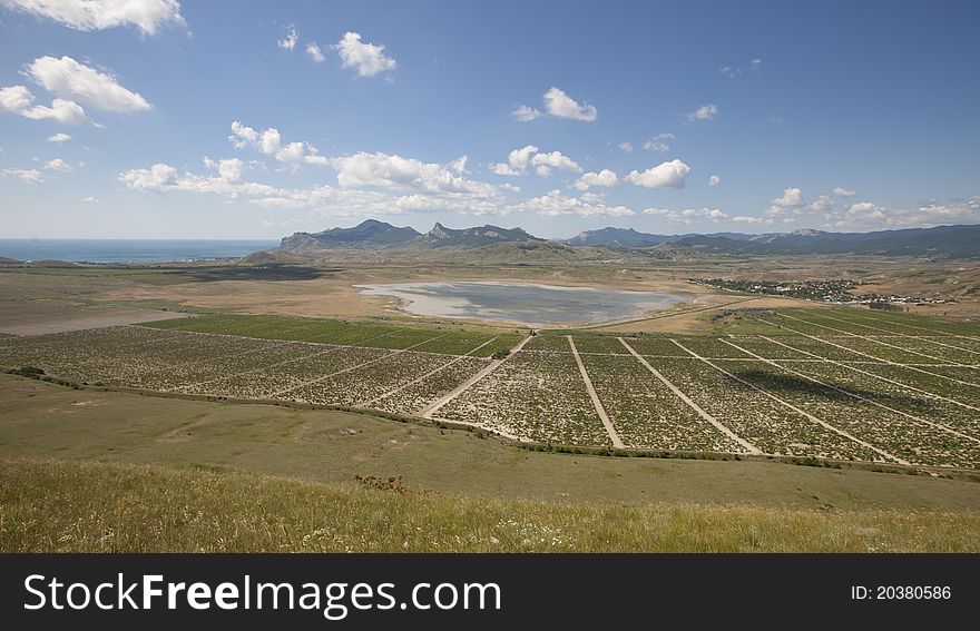 Grape fields are around beautiful mountain lake. Grape fields are around beautiful mountain lake