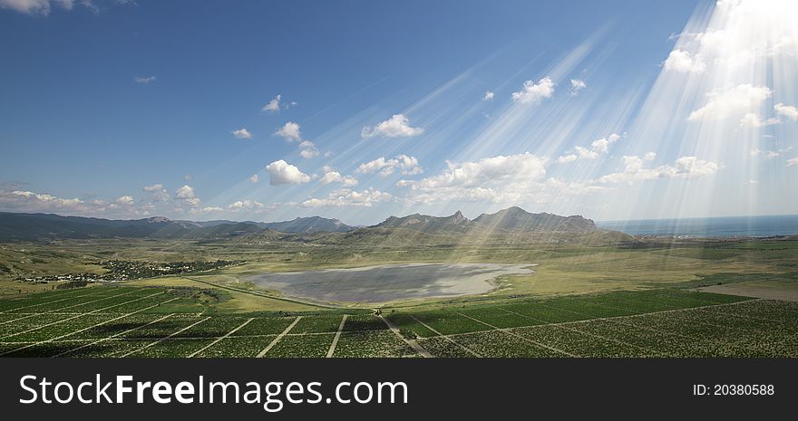 Grape fields are around beautiful mountain lake. Sun rays are through the sky. Grape fields are around beautiful mountain lake. Sun rays are through the sky