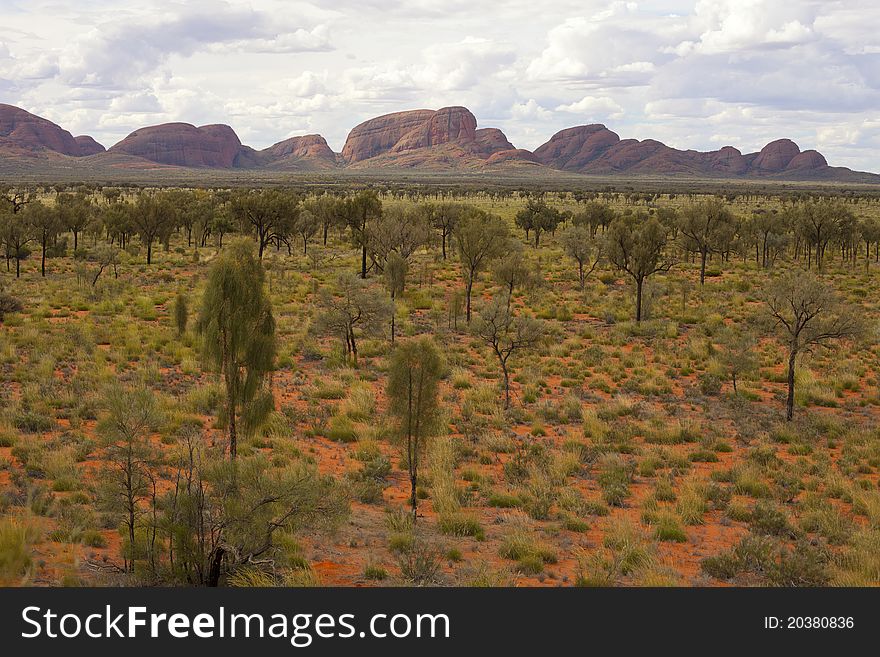 Cloudy sky up to lonely rock.Around is desert forest