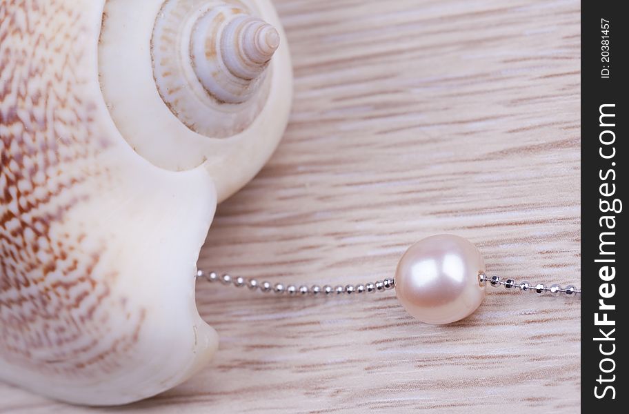 Shell and Pearl