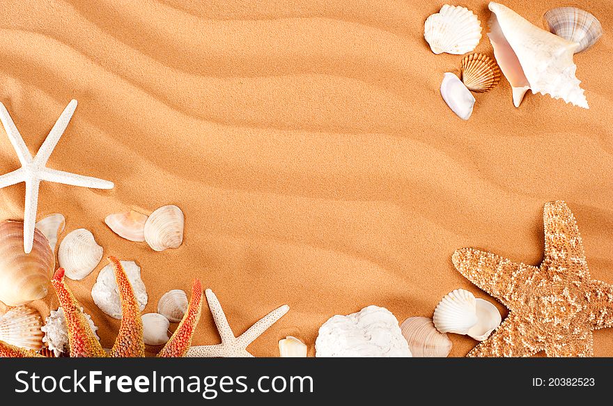 Sand background with conch and starfish