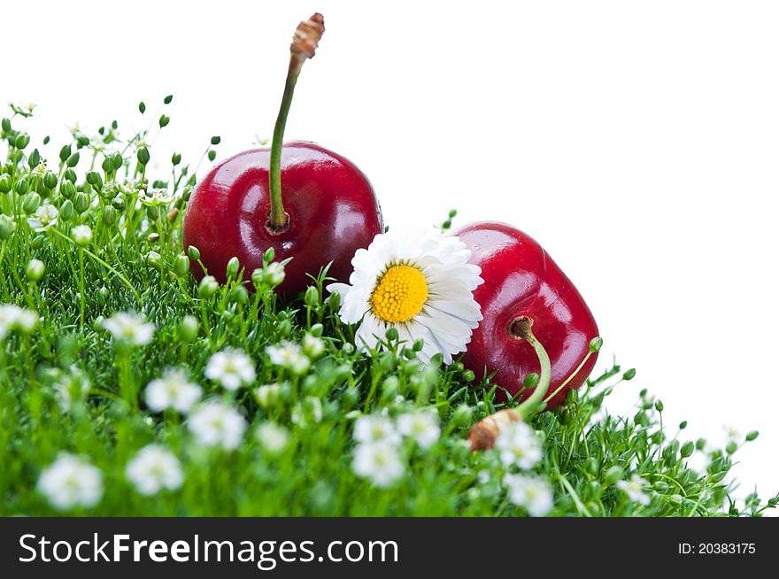 Fresh cherry on a green grass isolated on a white background
