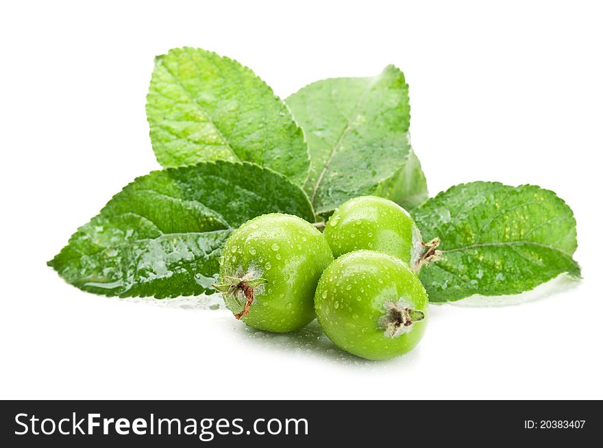 Early fresh apples isolated on a white background