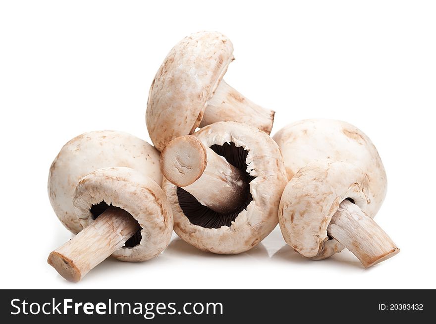 Fresh mushrooms isolated on a white background