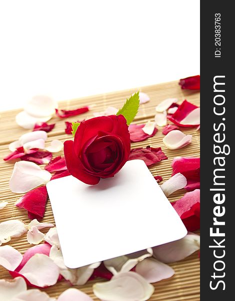 At the rose petals is white piece of paper and a red rose. Postcard. At the rose petals is white piece of paper and a red rose. Postcard