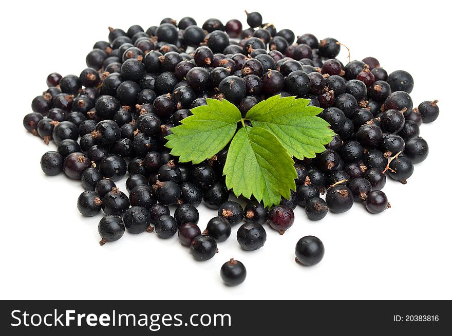 Fresh blueberries with green leaf isolated on a white background