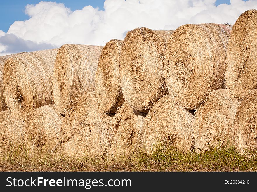 Stack of hay bales drying outdoors