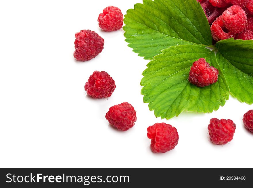 Fresh raspberry and green leaf isolated on a white background