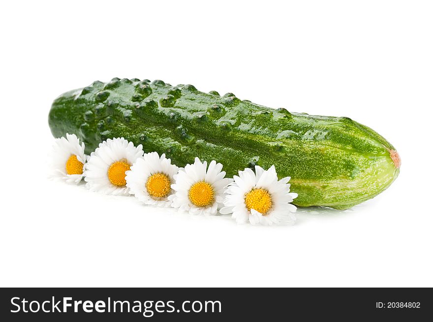 Fresh cucumber with flowers isolated on a white background