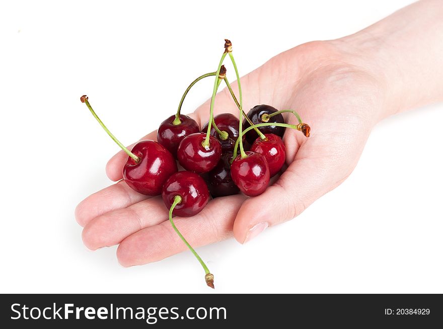 Fresh cherry in hand isolated on a white background