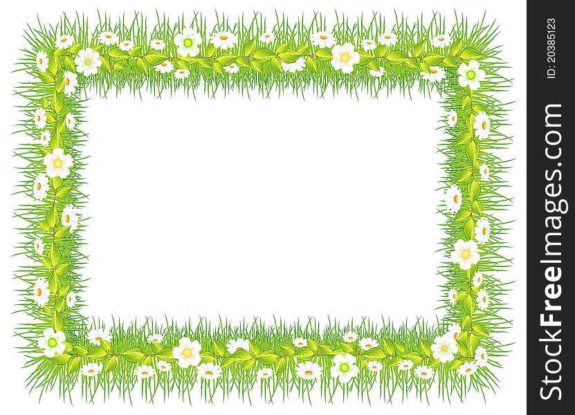 Frame with green grass and flowers, on white background  illustration. Frame with green grass and flowers, on white background  illustration