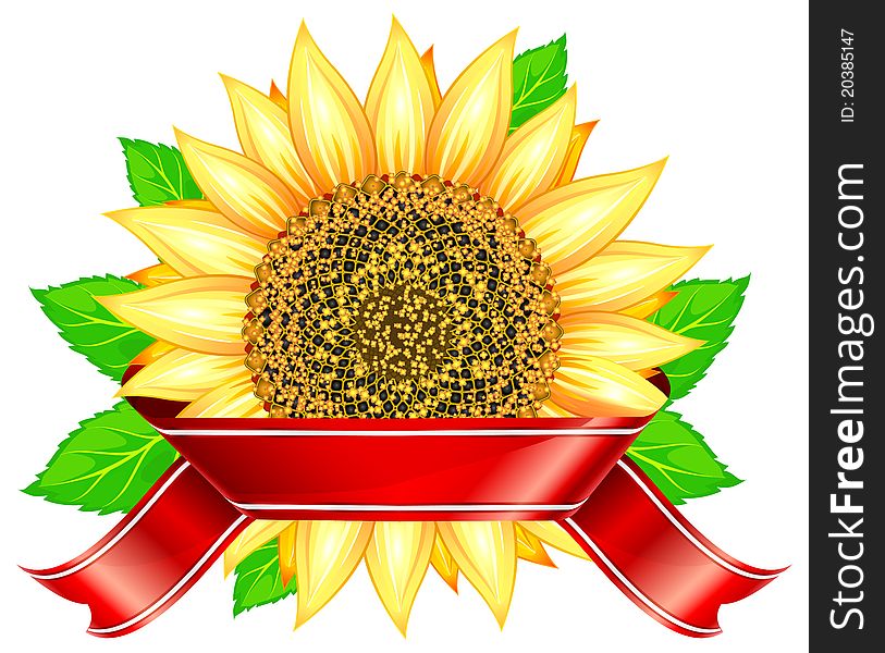Label design with sunflower & leafs and red ribbon,  illustration. Label design with sunflower & leafs and red ribbon,  illustration