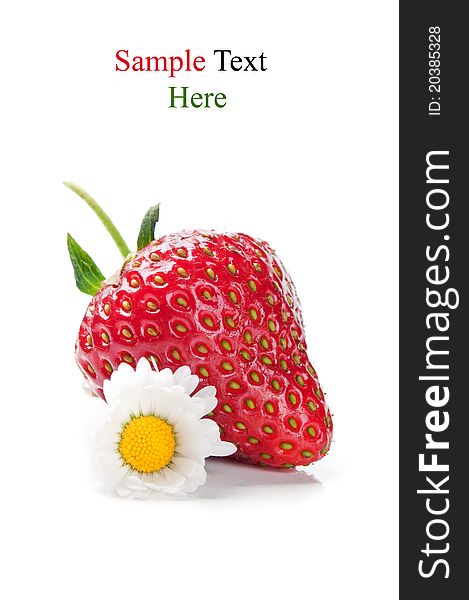 Fresh strawberry and flower on a white background