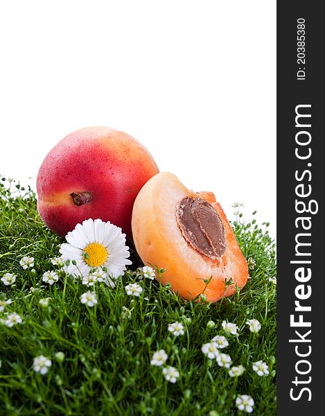 Fresh apricot on a green grass isolated on a white background