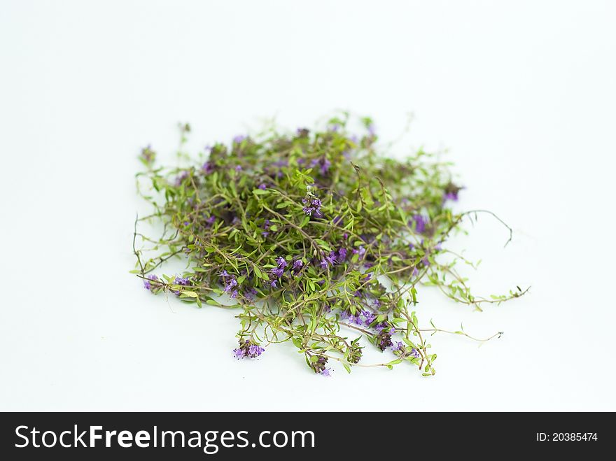 Herbal Medicine,forest Thyme On White Background