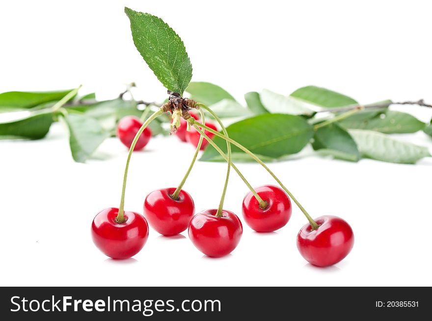 Red fresh cherry and leaf isolated on a white background