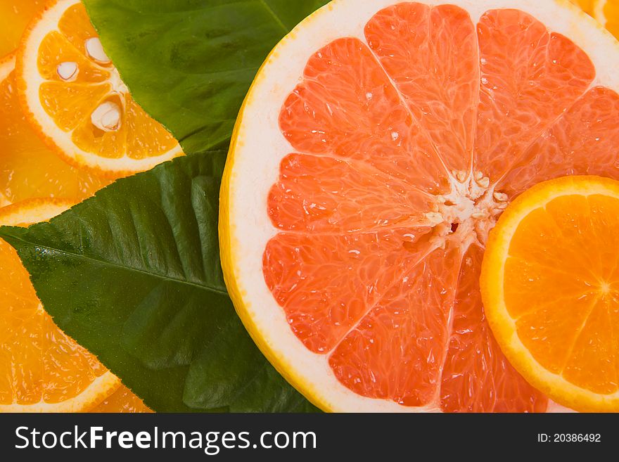 Orange and grapefruit  cut with slices for a background. Orange and grapefruit  cut with slices for a background