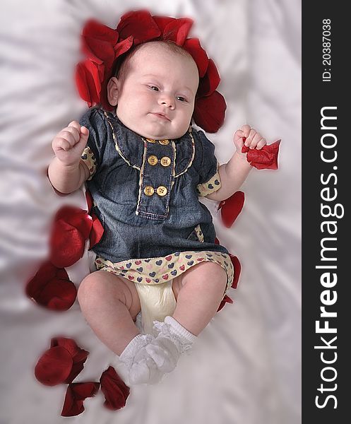 A well-dressed baby with an entourage of red petals rose