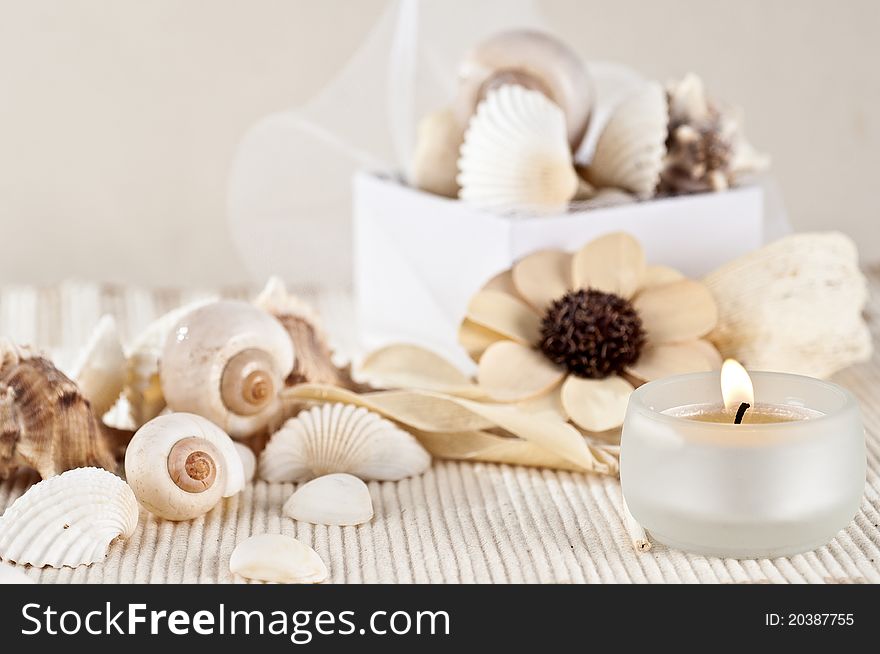 Tea candle, dried aromatic flowers and shells. Tea candle, dried aromatic flowers and shells