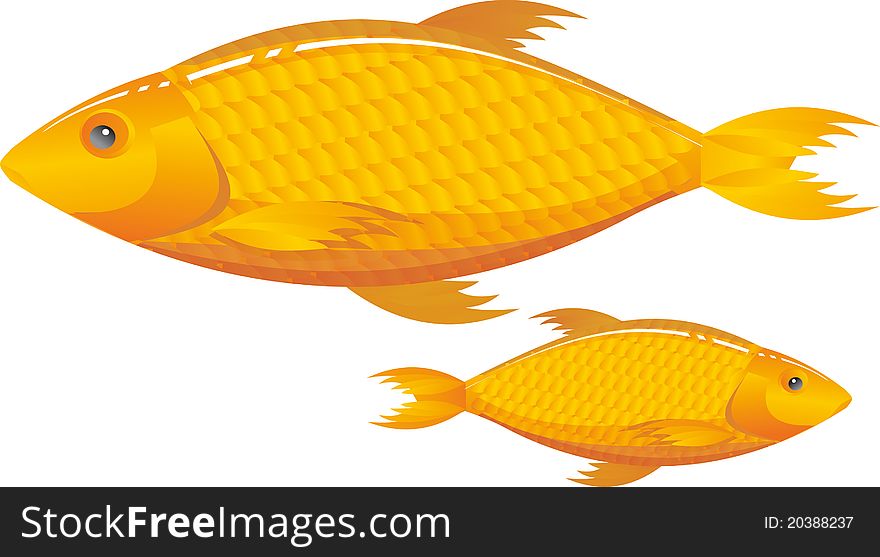 Two yellow fish on a white background