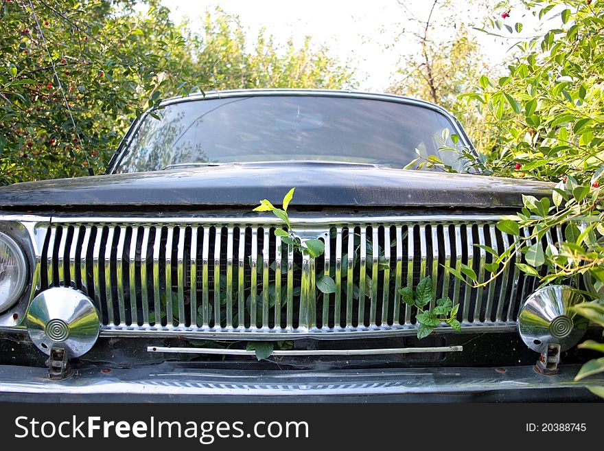 Radiator of the ancient automobile with a green branch. Radiator of the ancient automobile with a green branch