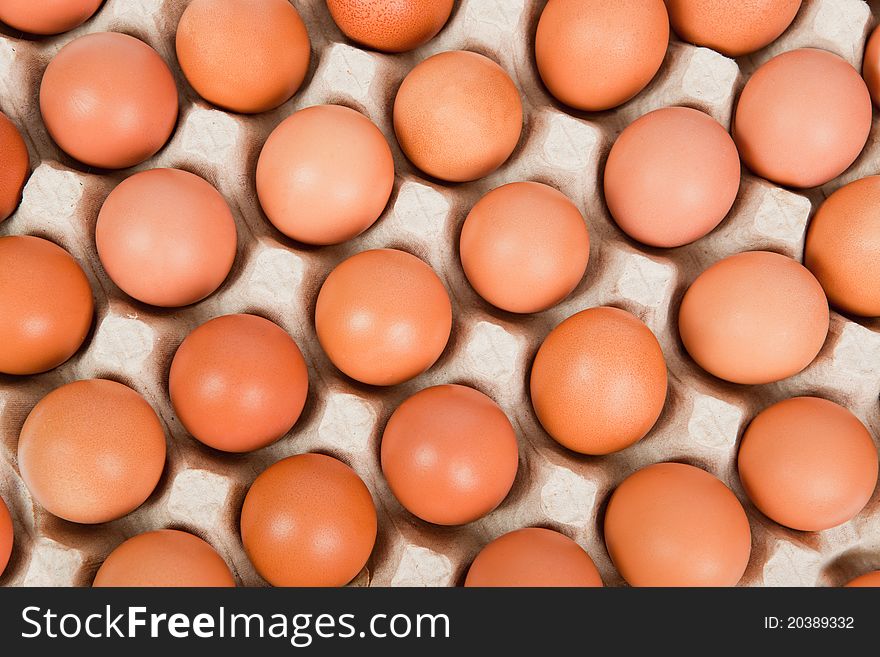 Close up of eggs in cardboard container