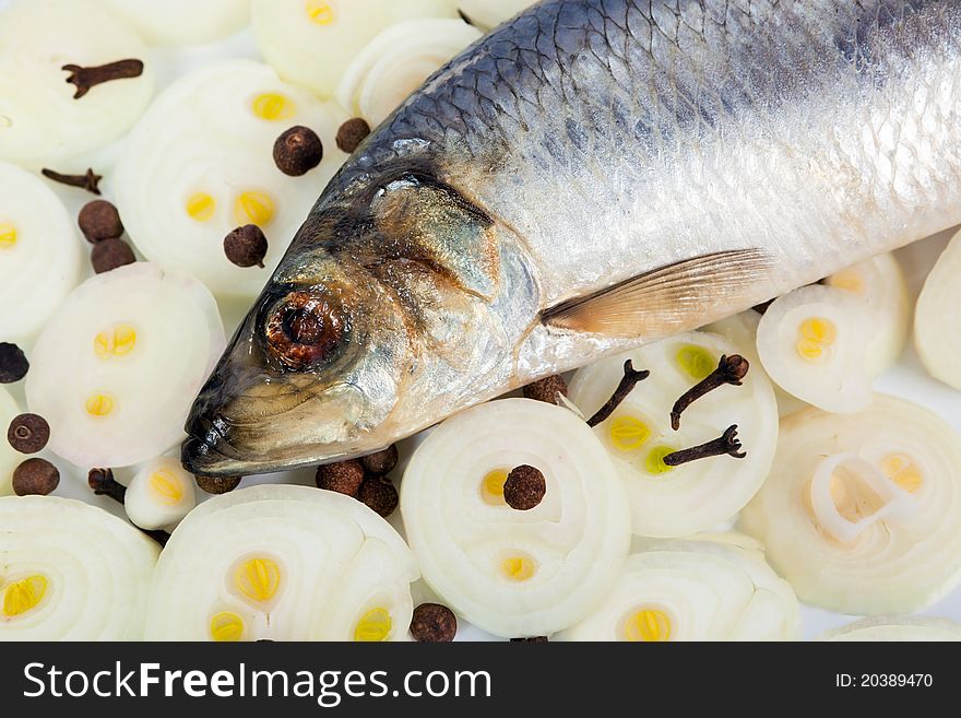 Herring with onions and spices