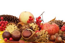 Autumn Leaves And Fruits Stock Images Autumn Leaves And Fruits Stock Images