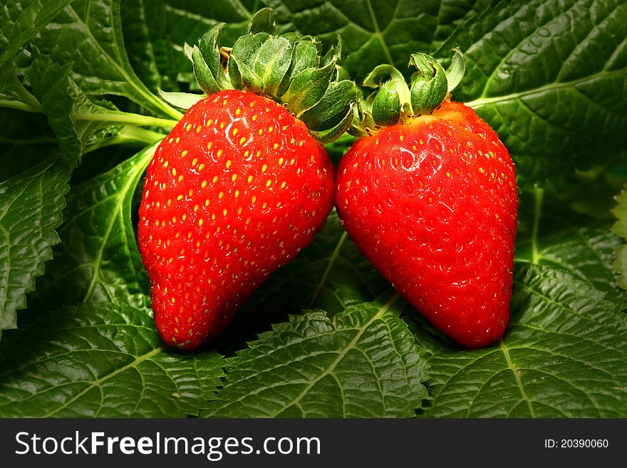 Delicious strawberry on the leaves