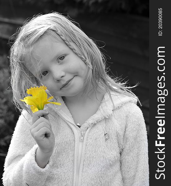 Yellow Daffodil held by young girl in black and white. Yellow Daffodil held by young girl in black and white