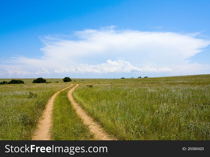 Countryside Road In Steppe